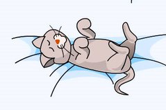 Погладь Кота - Pat the Сat